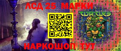 гидропоника Рузаевка