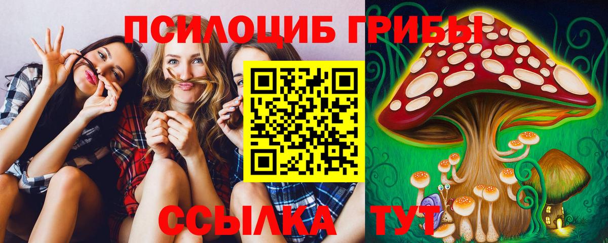 Сибай  Псилоцибиновые грибы Psilocybine cubensis  Галлюциногенные грибы Psilocybe  Вход с VPN 